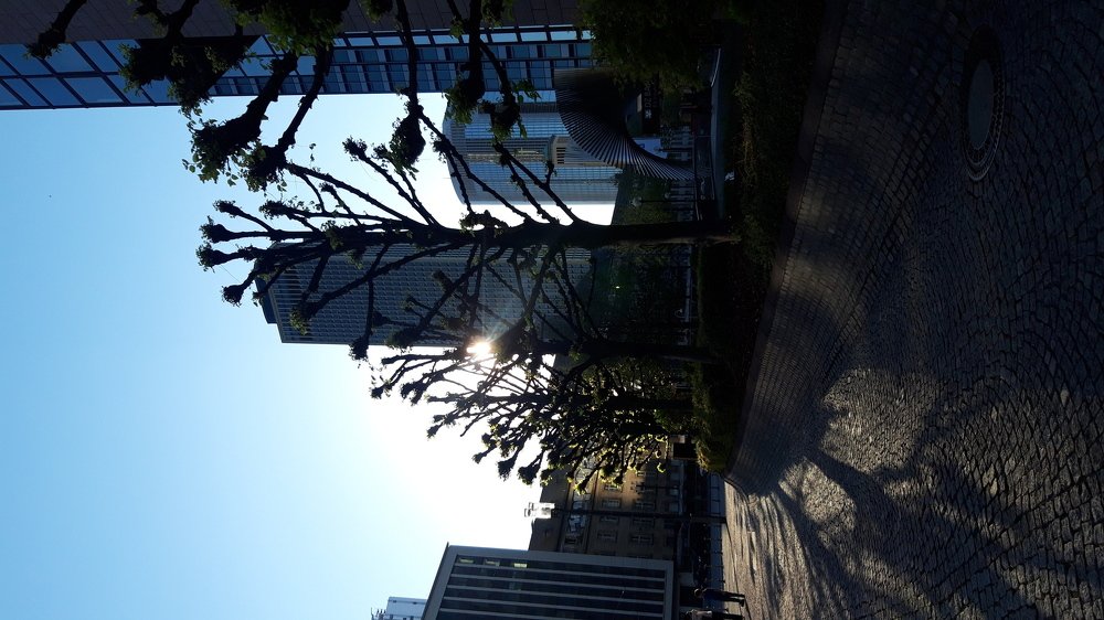 Уличная фотография