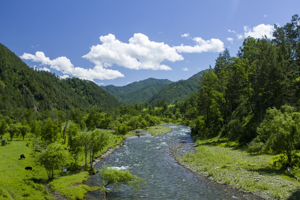 Фотография автора Иван Долгов