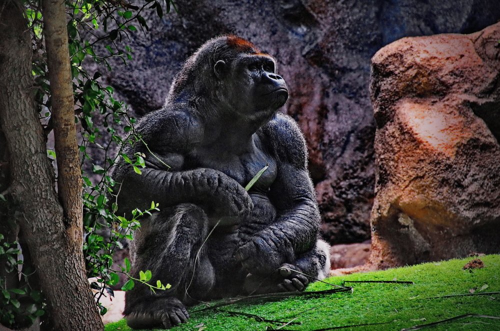 Photograph by Aleksandr Larionov