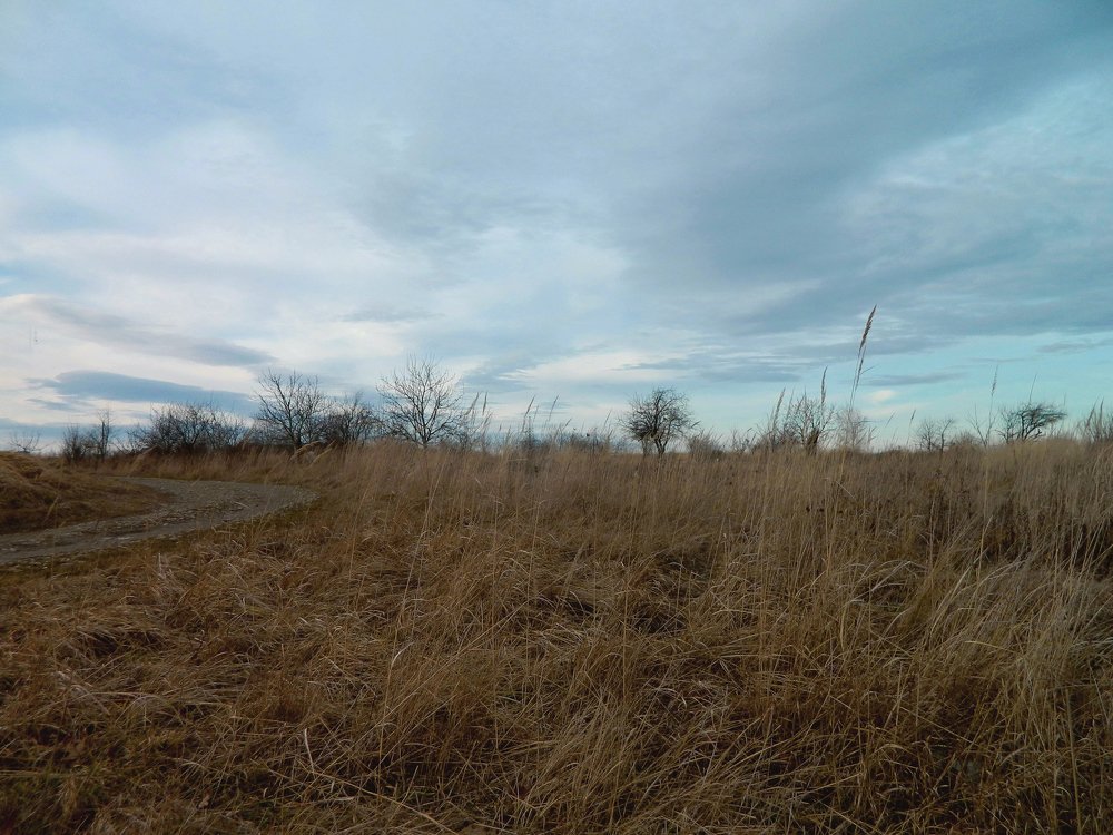 Фотография автора Сергей Рапопорт