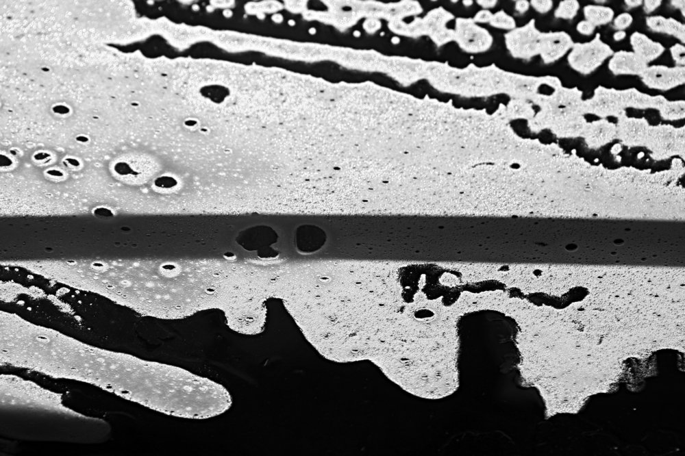 Фотография автора behbood mohajeri jolandan