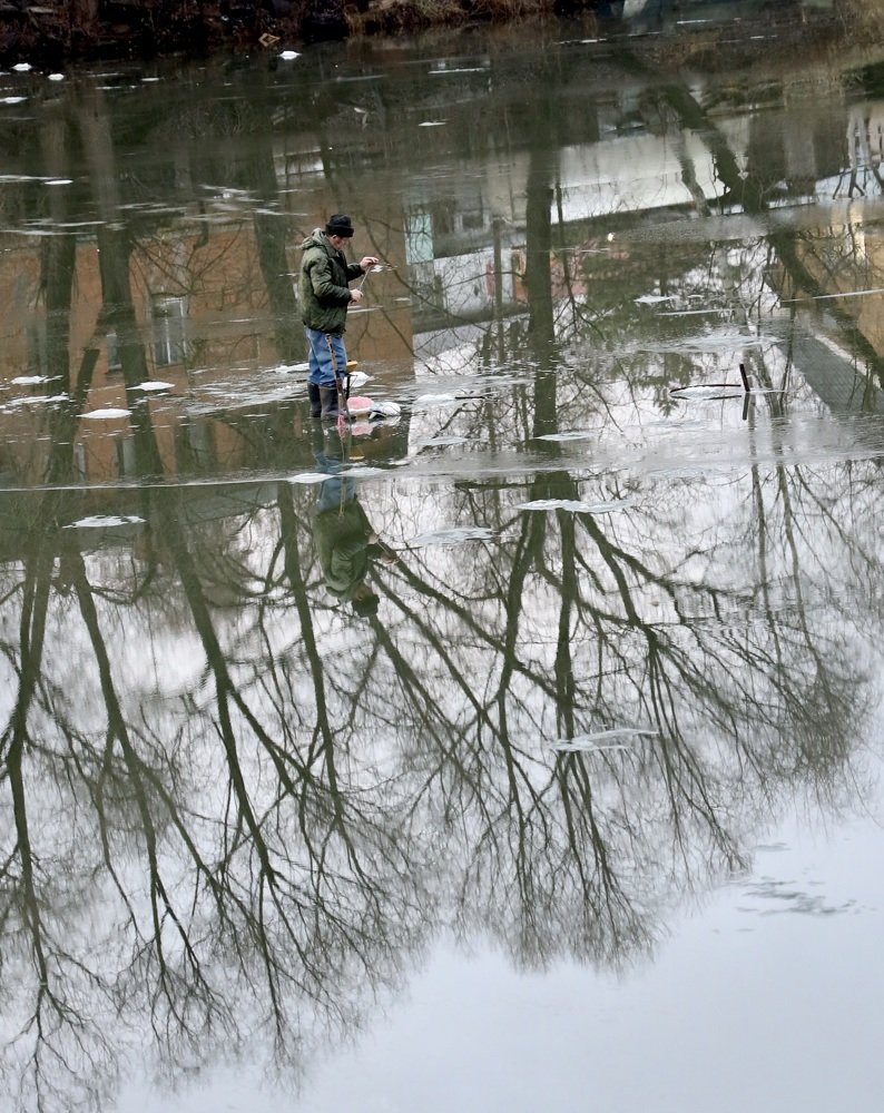 Фотография автора Елена Ломова