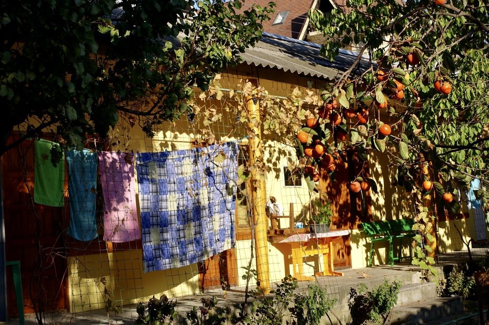 Фотография автора Елена Ломова