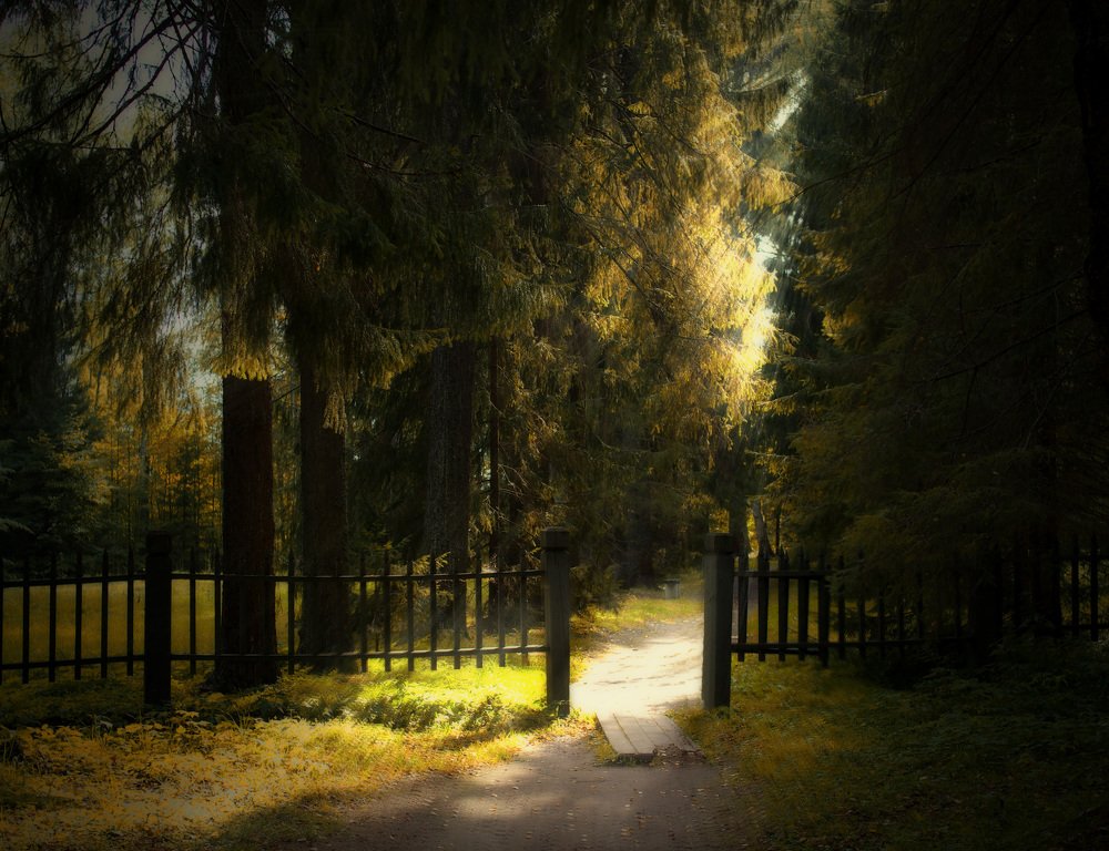 Photograph by Евгений