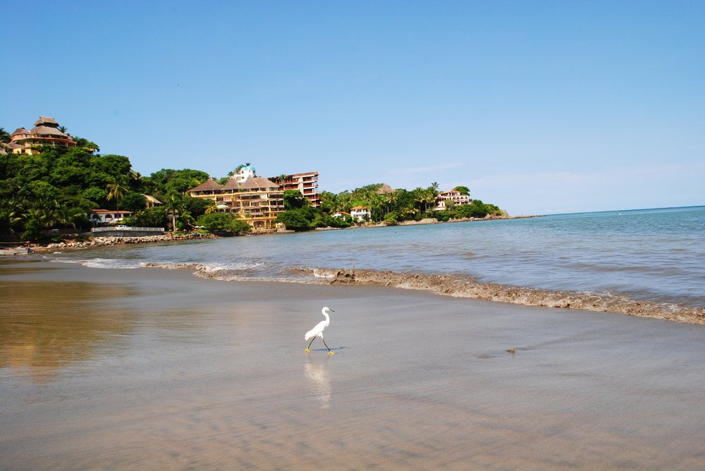 Photograph by aminik kh