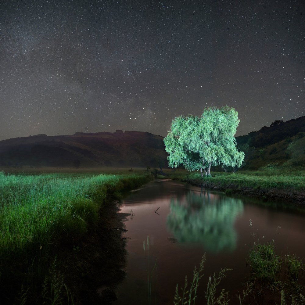 Логово старого сома.