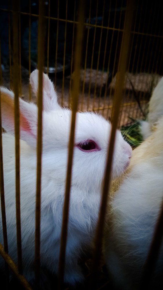 Photograph by Krishna Sai