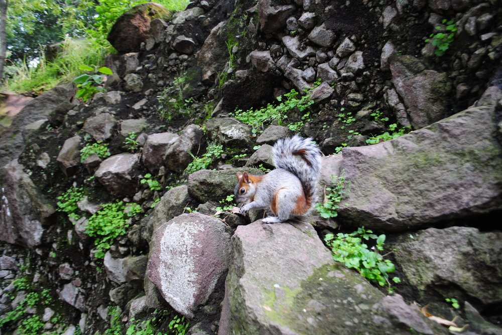 Photograph by aminik kh