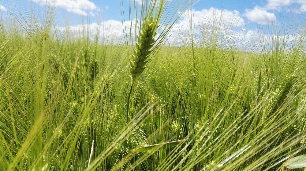 Photograph by Борислав Къчев