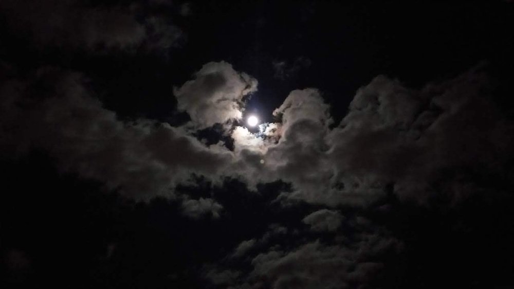 Photograph by Борислав Къчев