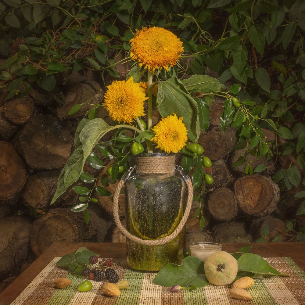 Photograph by Светлана Острая