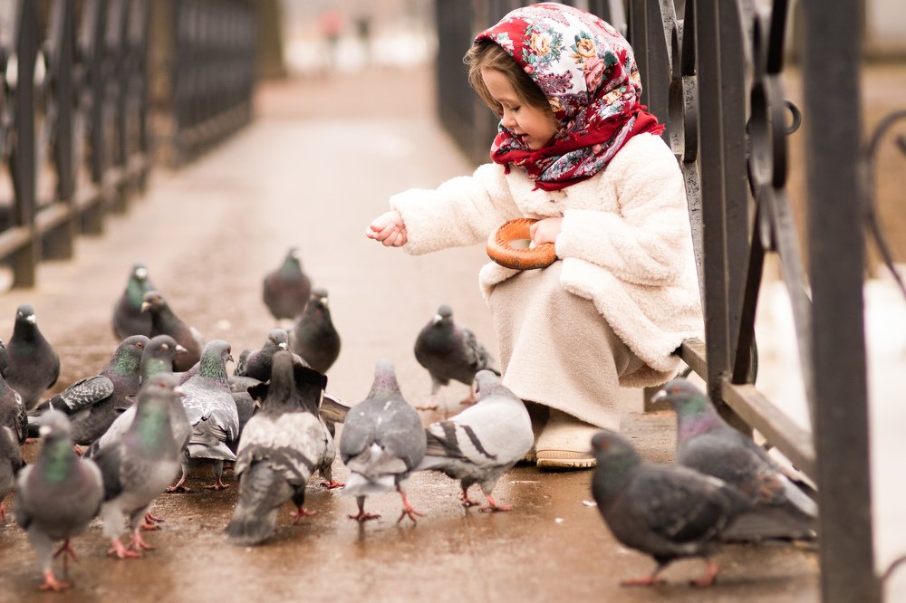 Фотография автора Людмила Коробова