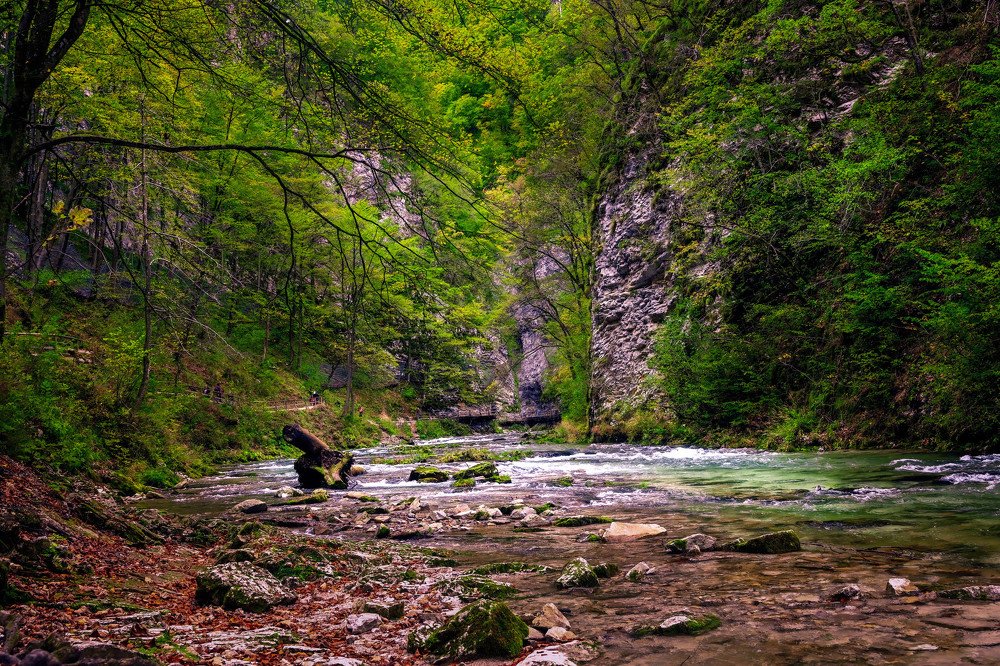 Photograph by YURI GARNAGA