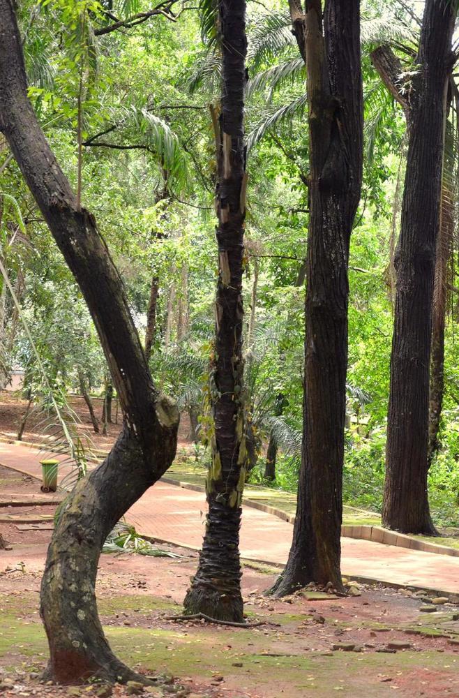 Photograph by Trianto Sutopo