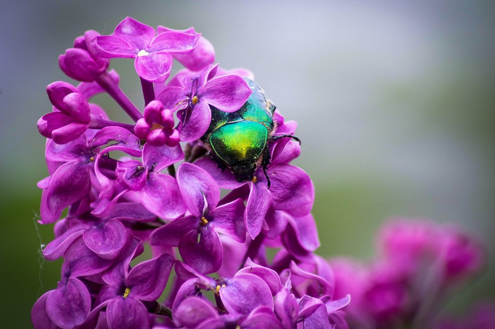 Фотография автора Андрей Потапов