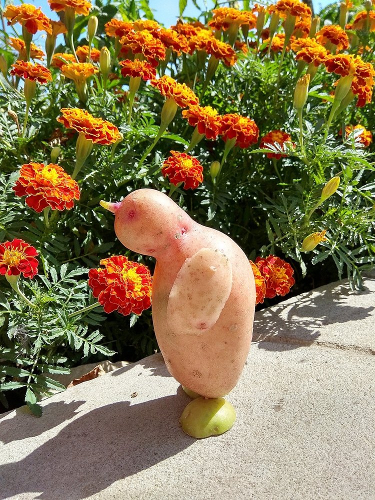 Photograph by Диитрий Якимов