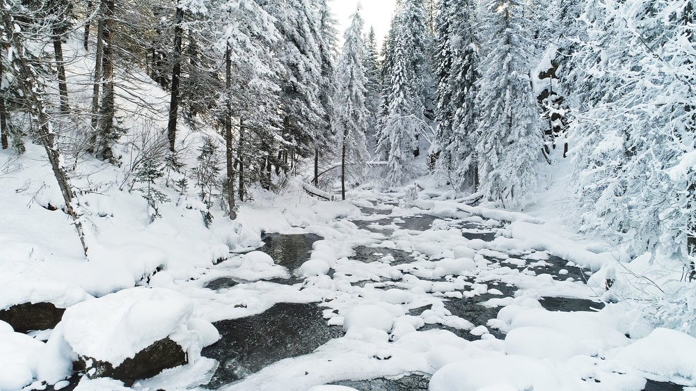 Photograph by Василий Коваль