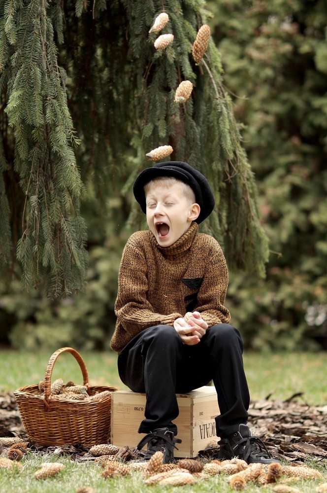 Фотография автора Елена Ломова