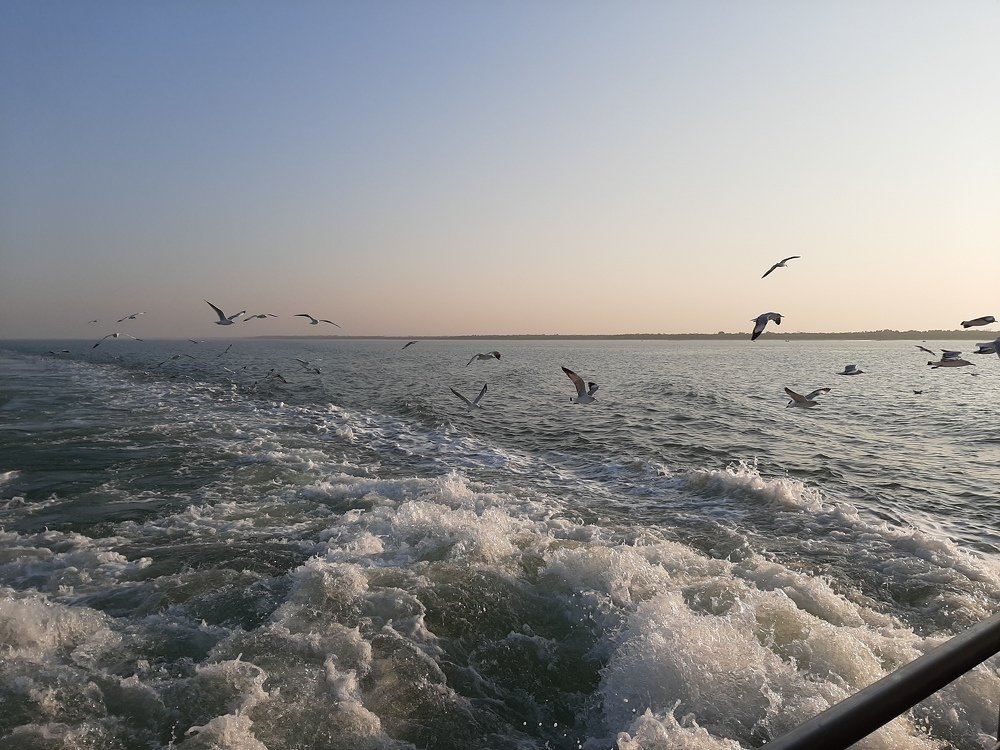 Photograph by Bhuiyan Shawon