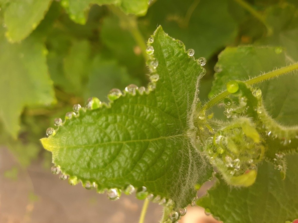 Photograph by Эрика Повшик