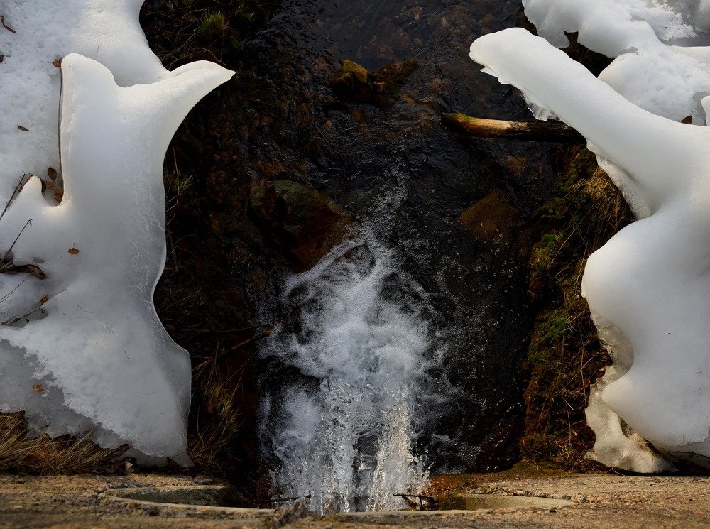 Photograph by Roman Komov