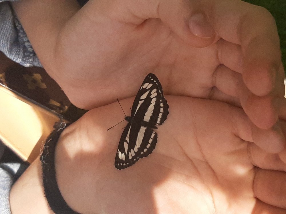 Photograph by Эрика Повшик