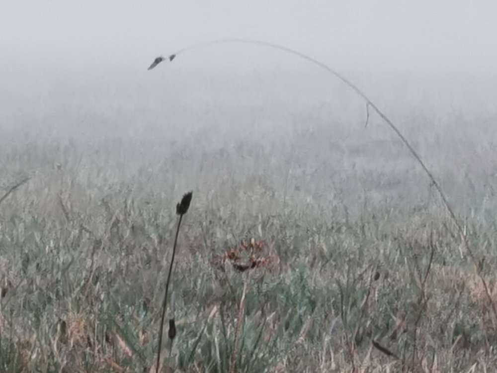 Фотография автора Рутковская Жанна