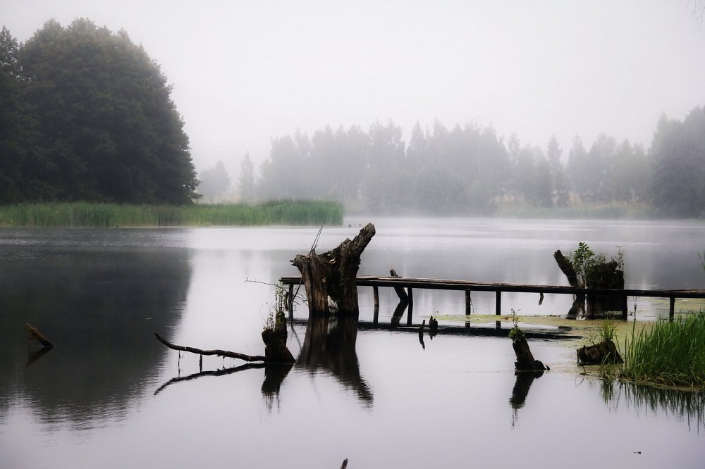 Photograph by Aleksandr Larionov