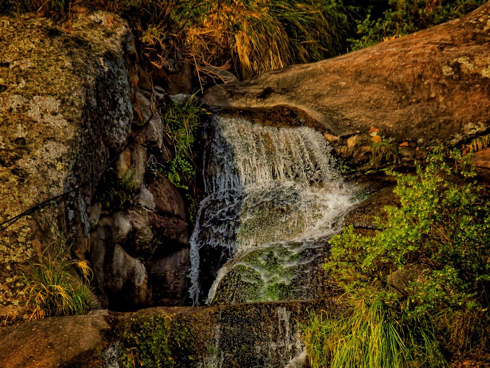 Фотография автора Cristina Wnetrzak