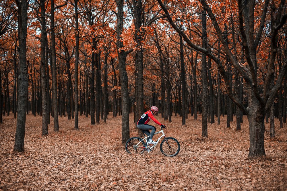 Фотография автора Bes Lukson