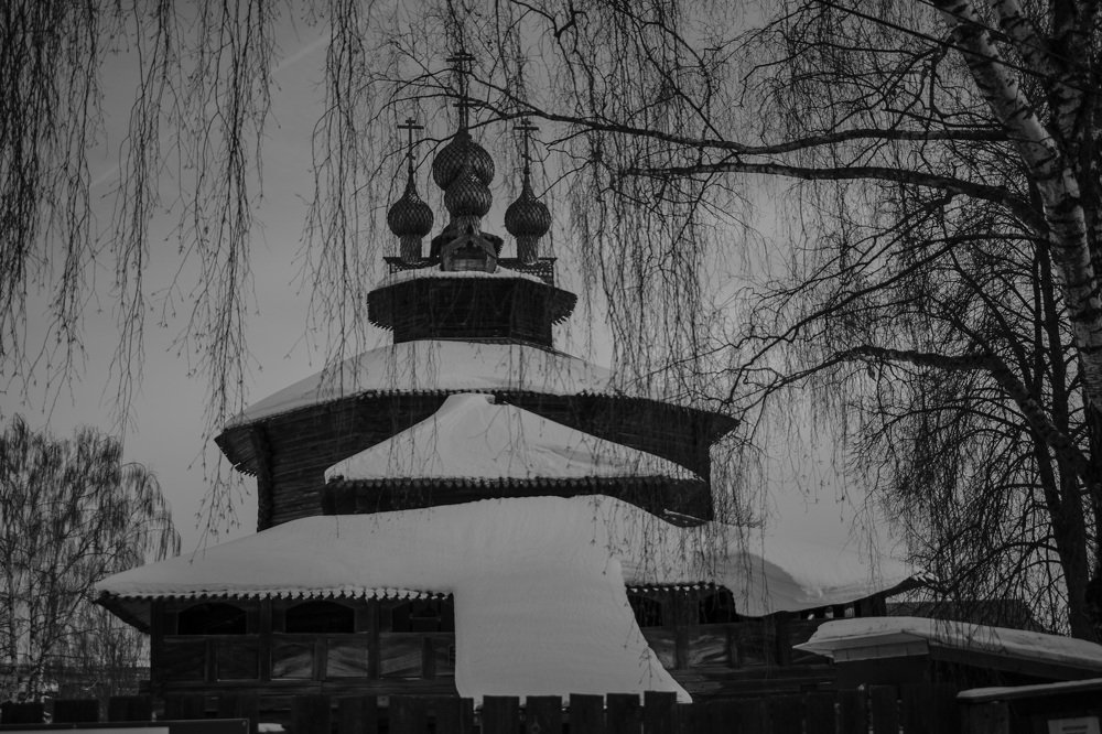 березовый дождь