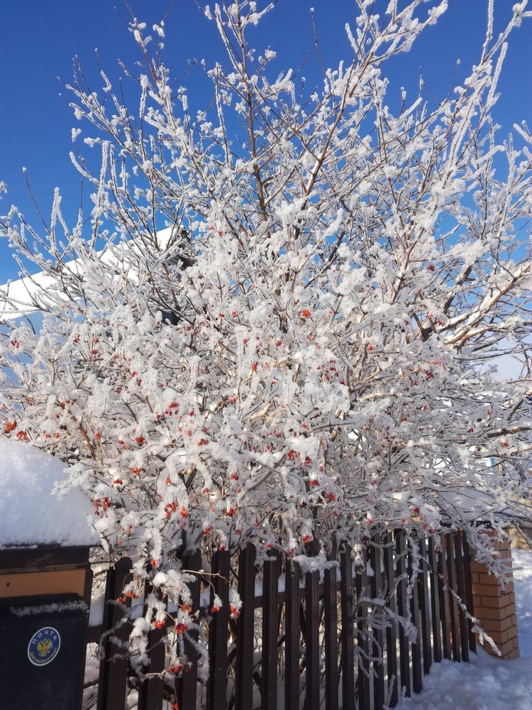 Photograph by Светлана Гринцова