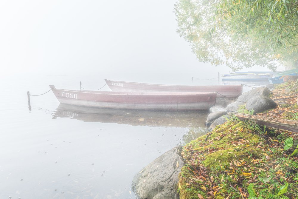 Photograph by Роман Махров