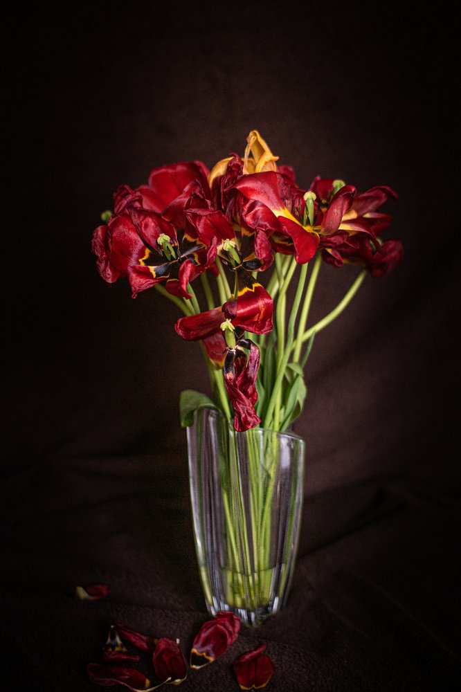 Фотография автора Людмила Коробова