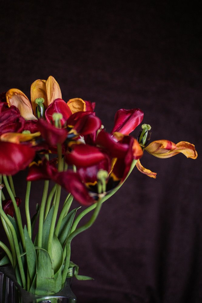 Фотография автора Людмила Коробова