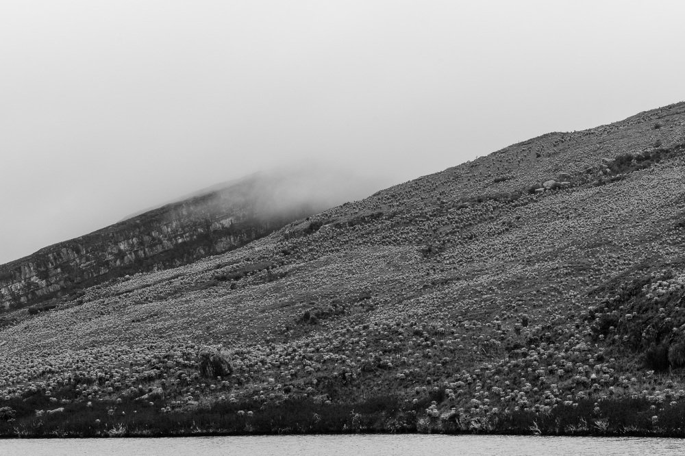 Photograph by G.Chacon H.