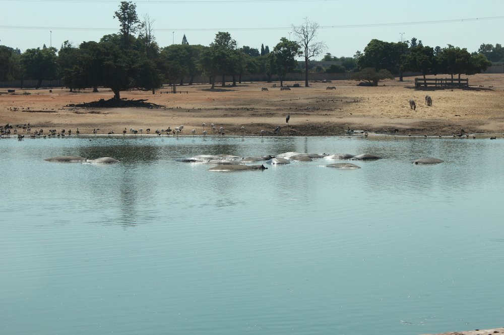 Photograph by Богдан Кандауров