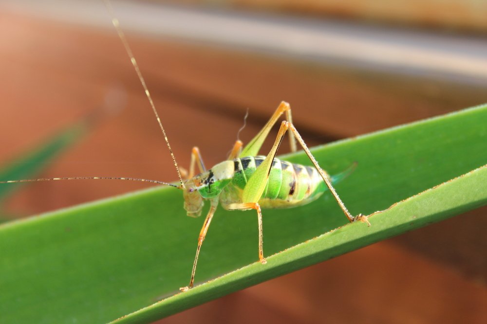 Photograph by Богдан Кандауров