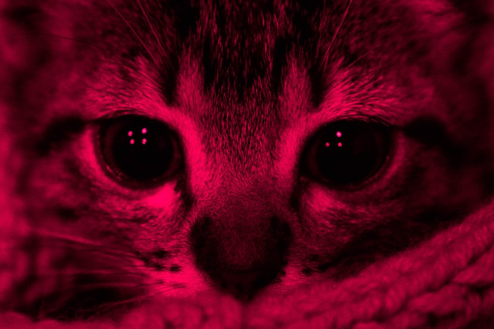 Photograph by Alejandra