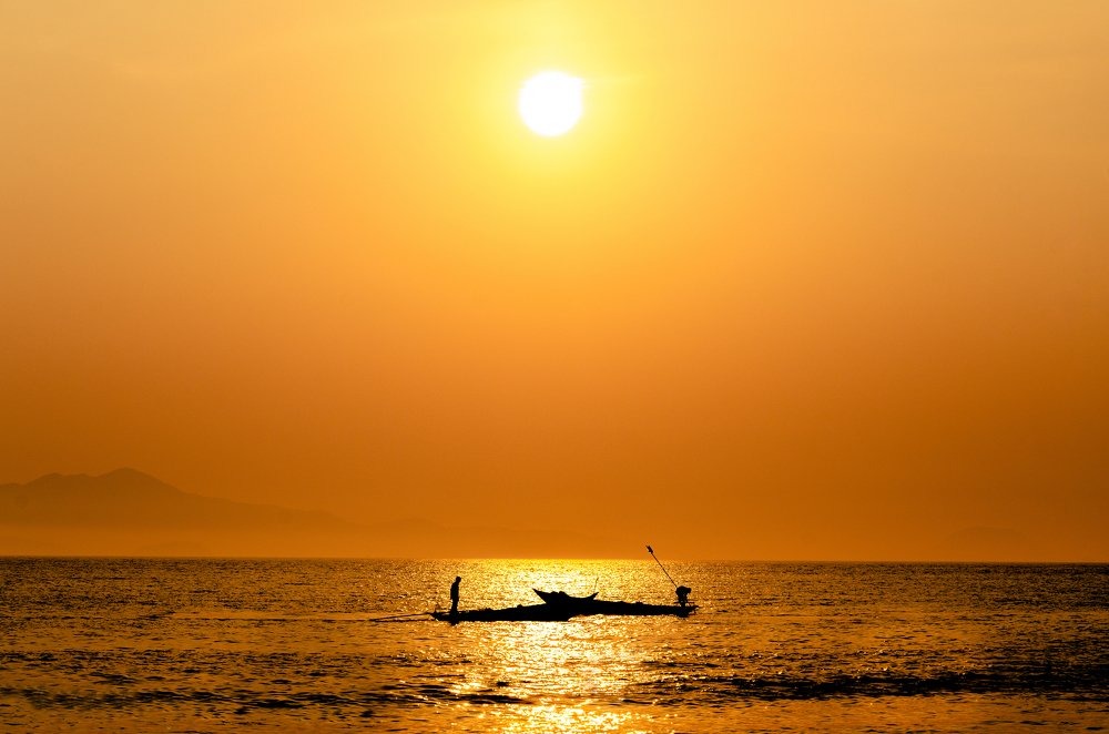 Catch fish on Cua Dai beach in the early morning