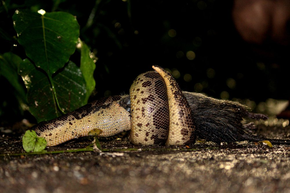 Photograph by Sagar Patel