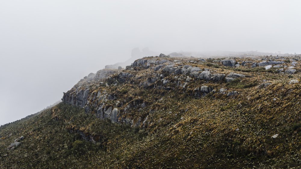 Photograph by G.Chacon H.