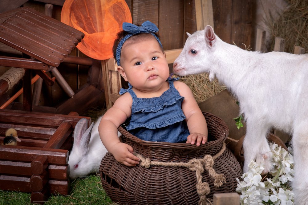 Photograph by Наталья Новикова