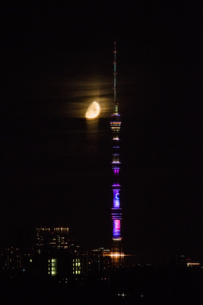 Фотография автора Лейла Матар