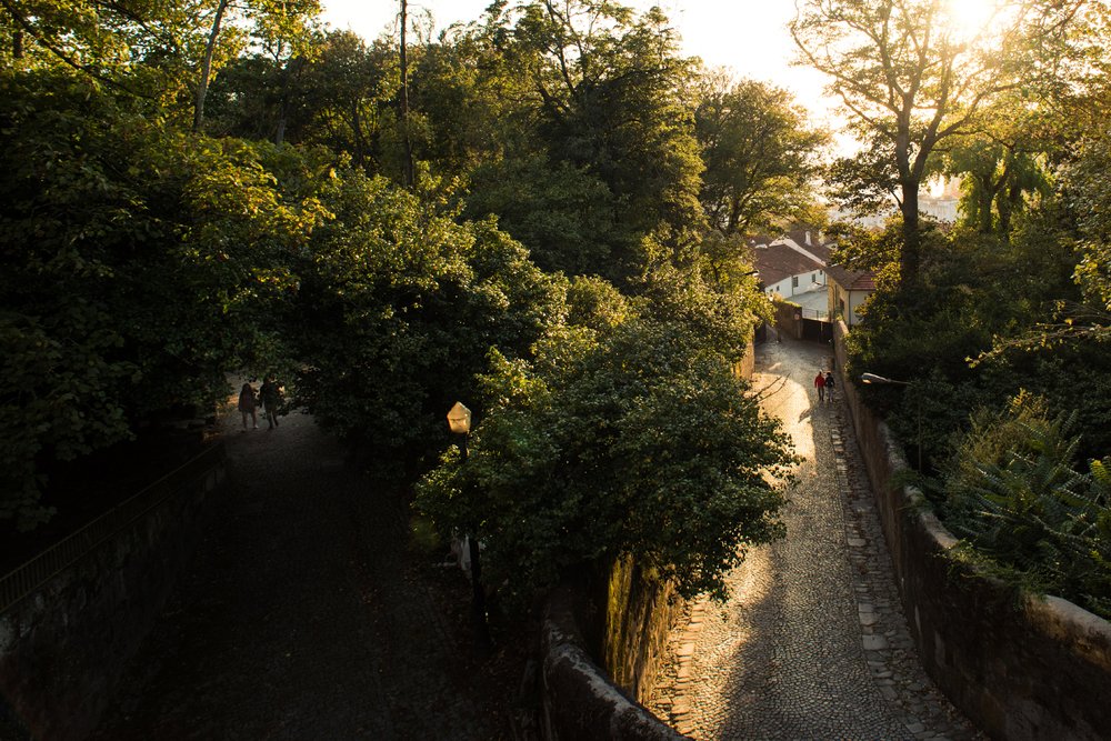 Фотография автора Лейла Матар