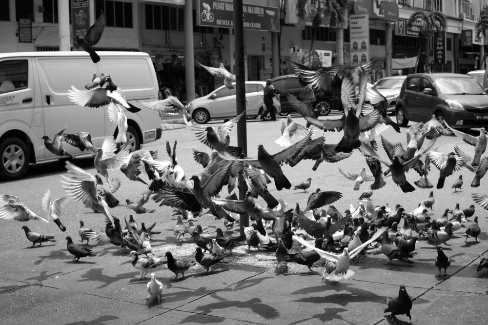 Photograph by Hussman Hawari