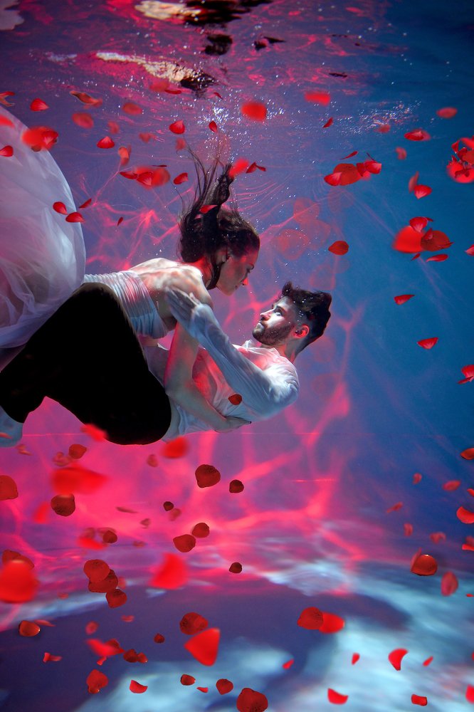 Фотография автора Анна Пикаленко