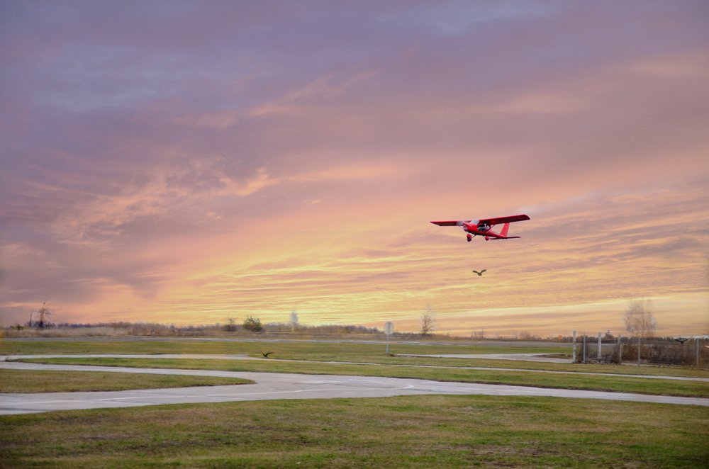 Фотография автора Анна Пикаленко