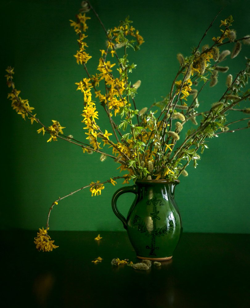 Photograph by Monika Kossak