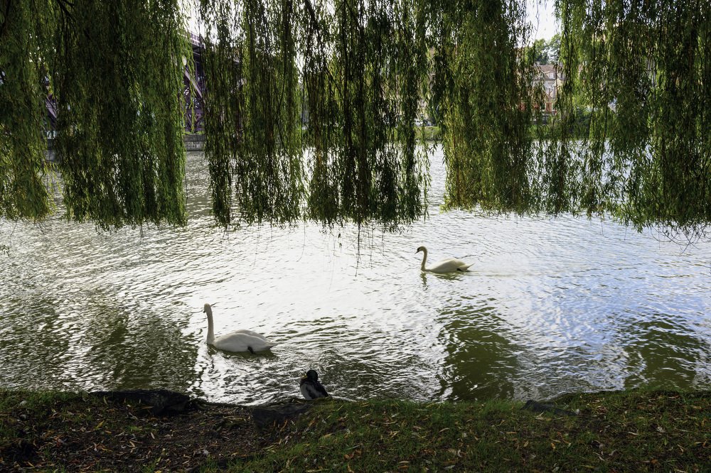 Photograph by YURI GARNAGA